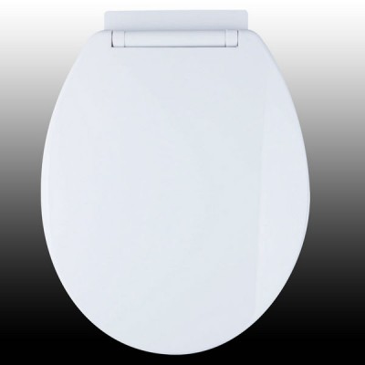 JT22 european PP soft down slowly round toilet seat